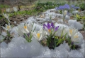 Синоптики рассказали, когда в Татарстан придет настоящая весна