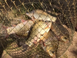 В Татарстане ввели ограничение на ловлю рыбы