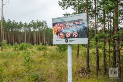 Штормовое предупреждение ввели в Татарстане из-за опасности лесных пожаров