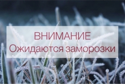 В Татарстане местами ожидаются заморозки 