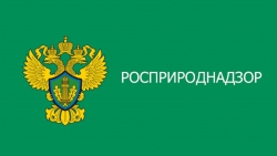 В Альметьевске нашли незаконную свалку, ущерб от которой превысил 16 млн рублей 