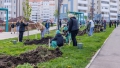 Семьи Альметьевска внесли свой вклад в озеленение города