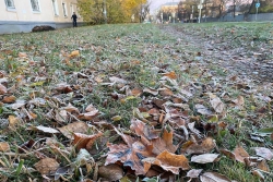 Заморозки до −3 градусов ждут татарстанцев на следующей неделе