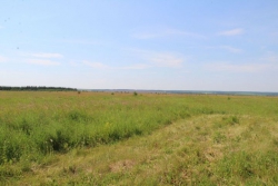 В Татарстане выявили более 500 нарушений земельного законодательства