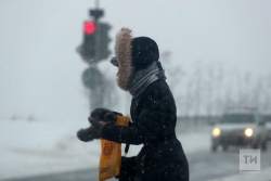 Метель и мокрый снег накроют Татарстан в выходные