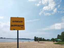 Роспотребнадзор назвал пляжи Татарстана, где нельзя купаться из-за качества воды 