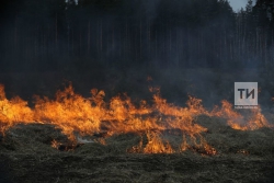 Больше десяти автомобилей столкнулись в Татарстане из-за дыма от горящего поля
