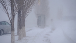 Туман, метель и до 17 градусов мороза ожидаются в Татарстане в пятницу 