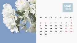 Галимова про майские праздники: «Дополнительных выходных пока не планируется»