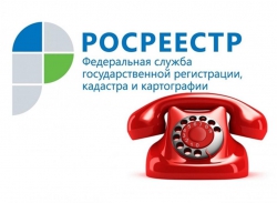 Татарстанцы смогут позвонить на Всероссийскую «горячую линию» по вопросам кадастрового учета объектов недвижимости