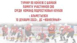 Турнир по хоккею с шайбой Памяти участников СВО пройдёт в Альметьевске