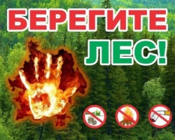 В Татарстане вновь ограничили доступ в леса
