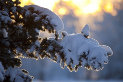 Синоптики спрогнозировали снежную неделю в Татарстане