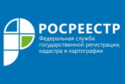 Росреестр Татарстана приглашает предпринимателей принять участие в онлайн-опросе по работе ведомства