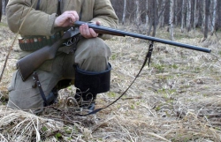 Лимит добычи охотничьих ресурсов утвердили в Татарстане